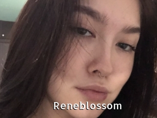 Reneblossom