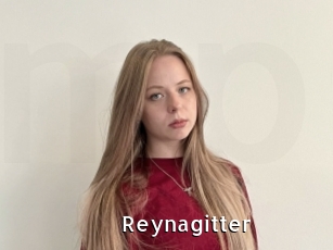 Reynagitter