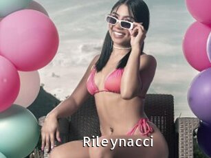 Rileynacci