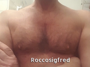 Roccosigfred