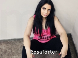 rosaforter My Porno Stash