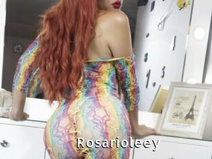 Rosarioleey
