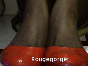 Rougegorge