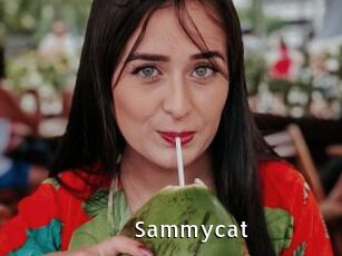 Sammycat