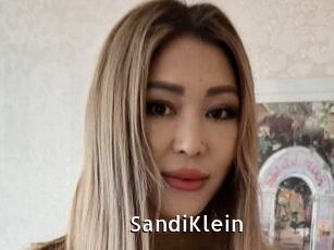 SandiKlein