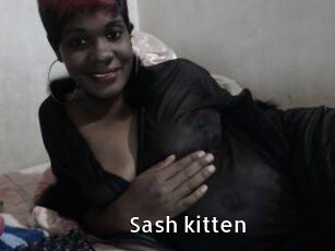 Sash_kitten