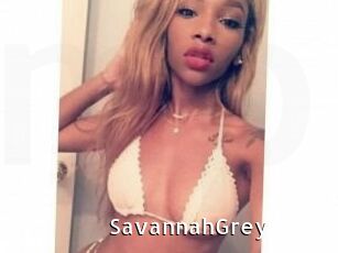 Savannah_Grey