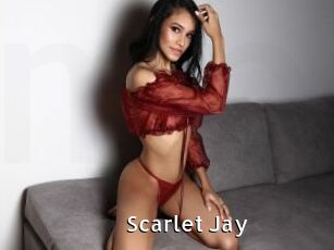 Scarlet_Jay