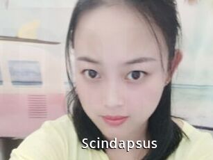 Scindapsus