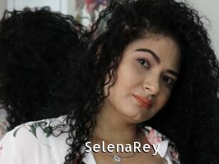 SelenaRey My Porno Stash