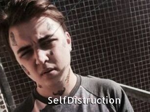 SelfDistruction