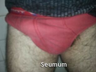 Seumum My Porno Stash