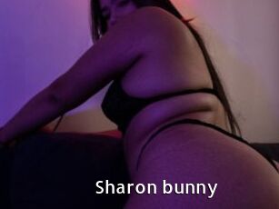 Sharon_bunny