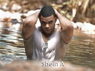 Shein_A
