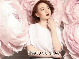 SheleyCarey