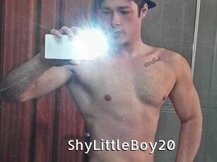 ShyLittleBoy20