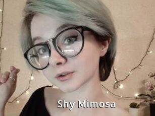 Shy_Mimosa
