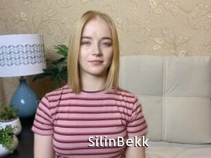 SilinBekk My Porno Stash