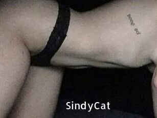 SindyCat