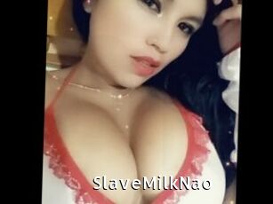 SlaveMilkNao