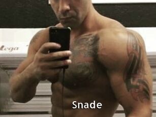 Snade