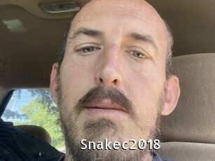 Snakec2018