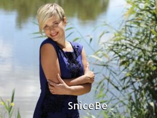 SniceBe My Porno Stash
