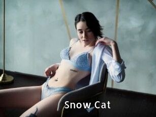 Snow_Cat