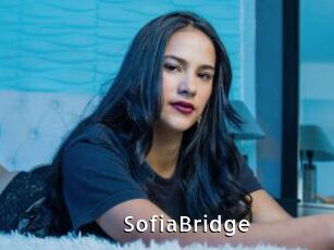 SofiaBridge