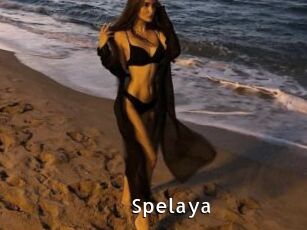 Spelaya