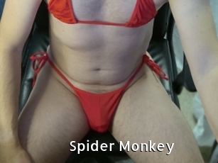 Spider_Monkey