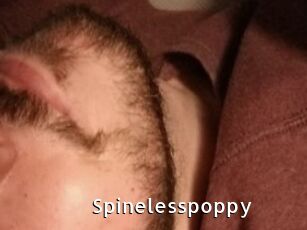 Spinelesspoppy