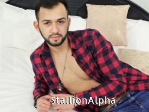 StallionAlpha