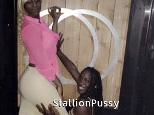 StallionPussy