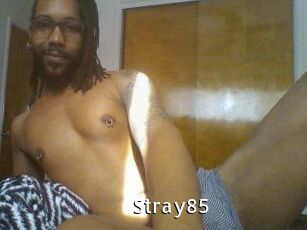 Stray85