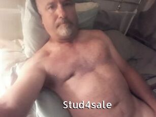 Stud4sale