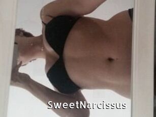 SweetNarcissus My Porno Stash