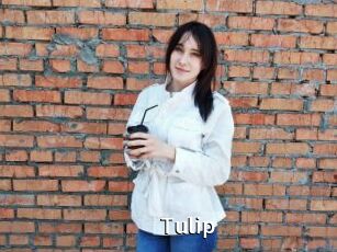 Tulip