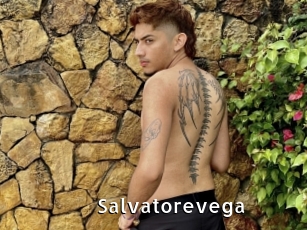 Salvatorevega