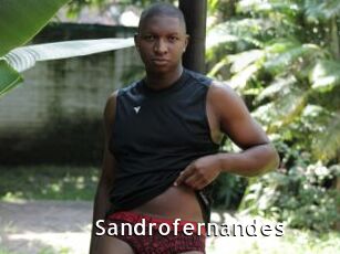 Sandrofernandes