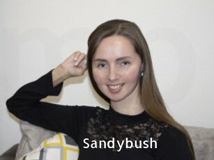 Sandybush