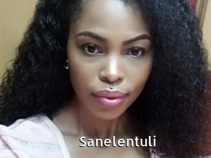 Sanelentuli