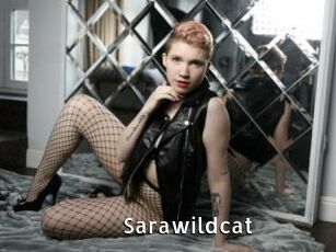 Sarawildcat