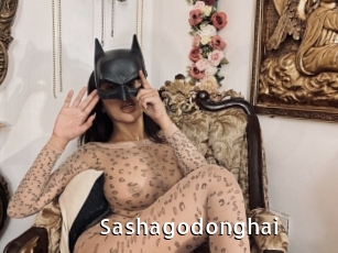 Sashagodonghai