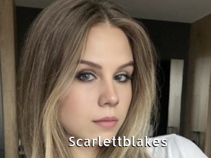 scarlettblakes My Porno Stash