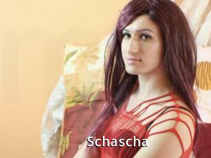 Schascha