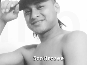 Scottrosee