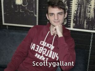 Scottygallant