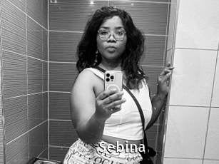 Sebina