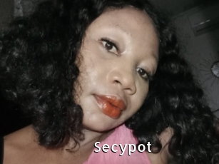 Secypot
